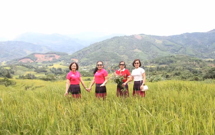 Vẻ đẹp thiên nhiên Bình Liêu vào thu làm say lòng tất cả những du khách khi đặt chân tới nơi đây.