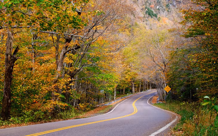 Con đường xuyên rừng ở Vermont.