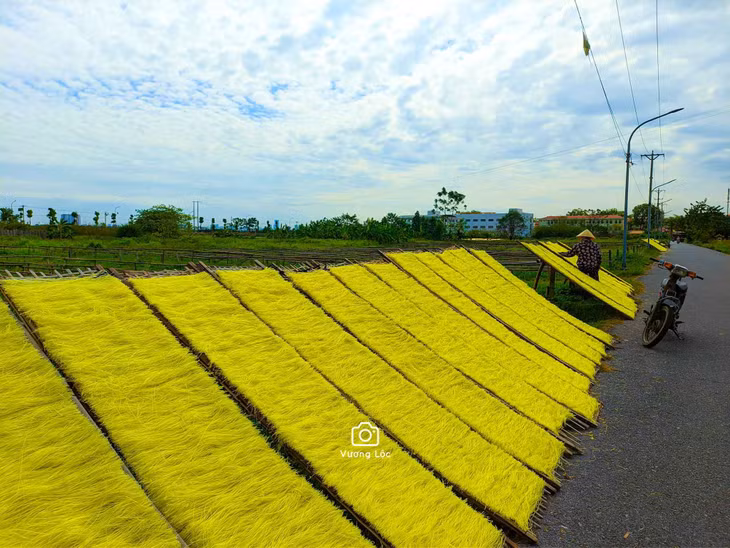 Đến đây, du khách sẽ có dịp bắt gặp hình ảnh những các phên tre ở giữa cánh đồng, ven đường và các sợi miến sắc màu phơi trong nắng. Ảnh: Vương Lộc