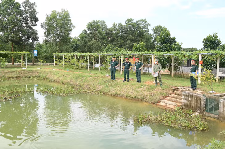 Ban CHQS huyện Hải Hà đẩy mạnh tăng gia sản xuất, nâng cao đời sống cho bộ đội.