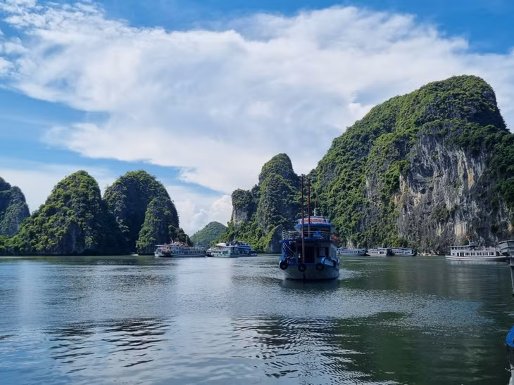 Vịnh Hạ Long được khai thác du lịch từ thời Pháp, đến nay vẫn có sức hấp dẫn lớn, thu hút đông đảo du khách trong và ngoài nước.
