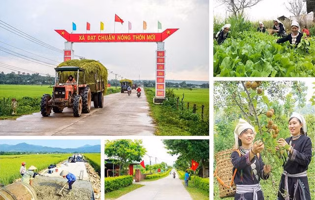 Bổ sung dự toán chi đầu tư phát triển, kế hoạch đầu tư vốn nguồn ngân sách trung ương các chương trình mục tiêu quốc gia