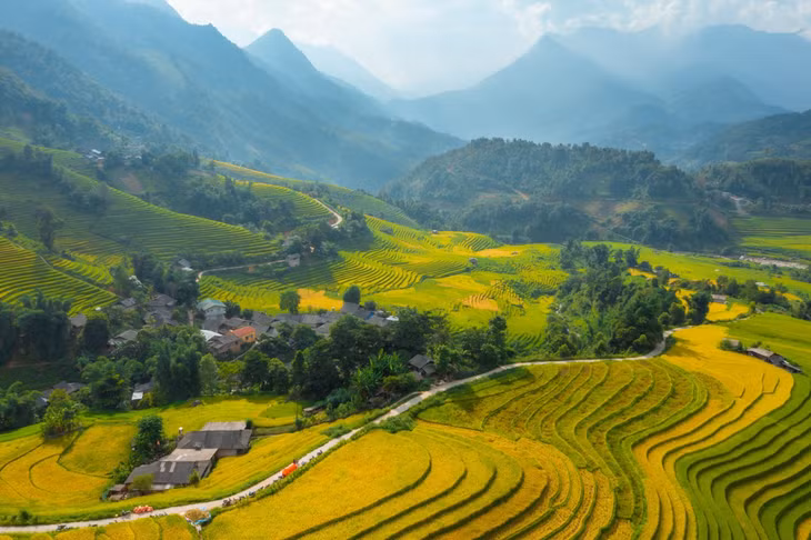 Hoàng Liên Sơn mỗi mùa lại khoác lên mình một vẻ đẹp làm say đắm lòng người khác nhau. Mùa xuân, tháng 1, tháng 2, hoa đào nở rực rỡ bên những sườn đồi. Những vạt đỗ quyên khoe sắc đỏ rực rỡ vào tháng 3, tháng 4. Các thửa ruộng bậc thang chín vàng óng ả như dải mụa mềm vắt dưới chân núi vào tháng 8, tháng 9. Tháng 12 sương giá phủ trắng những ngọn cây, nhành cỏ. Ảnh: Dương Quốc Hiếu
