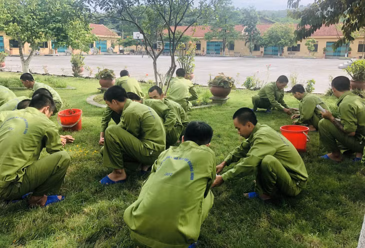 Các đối tượng cai nghiện ma tuý tham gia lao động tại Cơ sở cai nghiện ma tuý tỉnh.