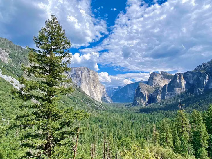 Được chọn là Di sản thế giới năm 1984, Yosemite dần được nhiều du khách biết đến. Ảnh: Cao Việt Cường Cavicu