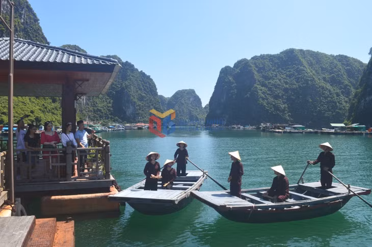 Du khách nghe hát giao duyên, tìm hiểu văn hóa của các ngư dân trên Vịnh Hạ Long.