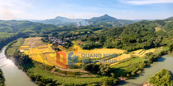 2023-10_Mùa vàng trên bản làng Ba Chẽ. Ảnh: Thùy Loan (CTV)