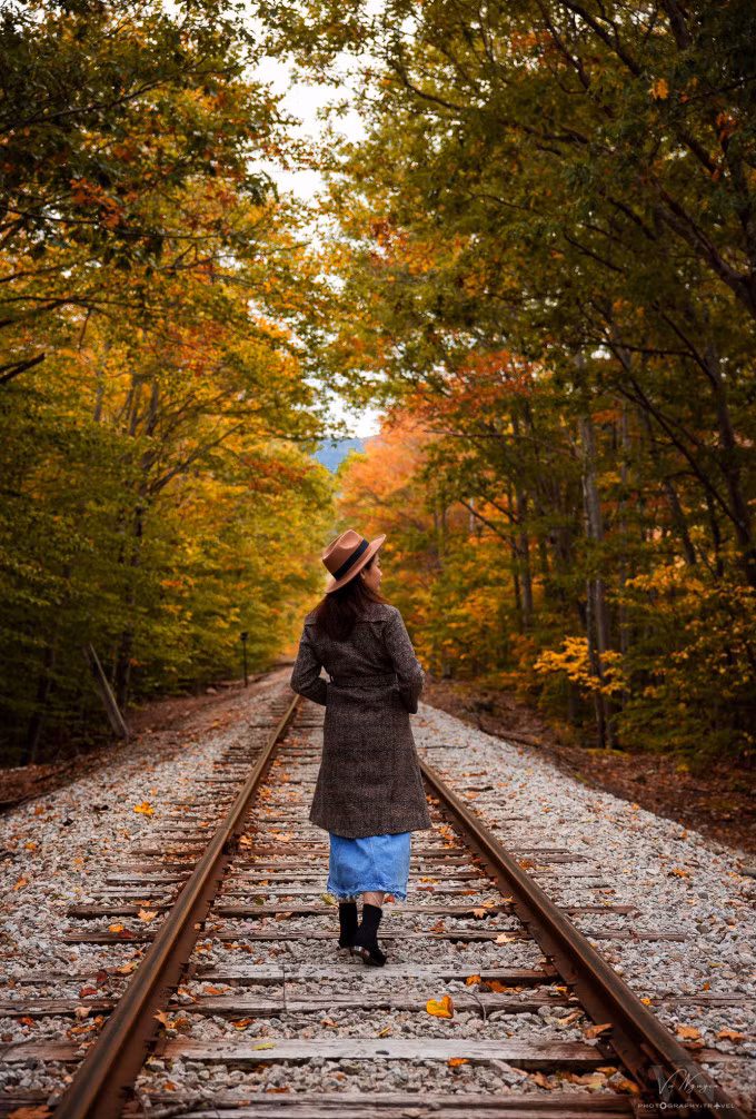 Cung đường rừng mùa thu New Hampshire.