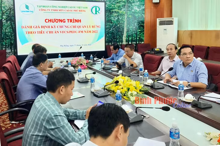 Chương trình đánh giá định kỳ chứng chỉ rừng theo tiêu chuẩn PEFC/VFCS-FM được thực hiện nghiêm túc