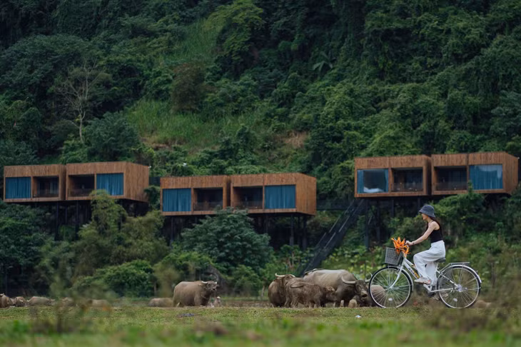 Nếu muốn nghỉ dưỡng, du khách có thể lưu lại ở Tú Làn Lodge - khu lưu trú thích ứng thời tiết độc đáo ở làng Tân Hoá. Khu nghỉ xây dựng dọc triền núi, tầm nhìn ôm trọn khung cảnh cánh đồng cỏ bao la phía trước. Một kỳ nghỉ ở Tân Hóa có đủ trải nghiệm để du khách vừa tận hưởng thiên nhiên bình yên và cuộc sống của người địa phương, vừa thử thách bản thân với những hoạt động mạo hiểm, thám hiểm.