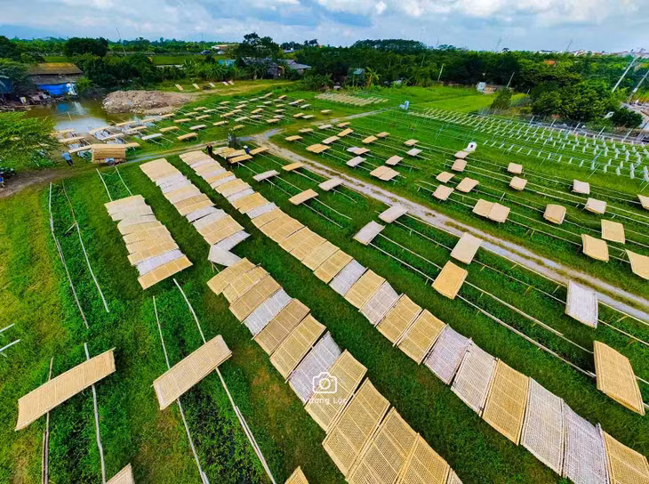Từ hạt gạo, củ dong, củ đót… người dân nơi đây đã làm ra nhiều sản phẩm như miến sắn dây, miến đỗ xanh, bún khô, bún gạo… phục vụ thị trường trong nước và xuất khẩu. Ảnh: Vương Lộc