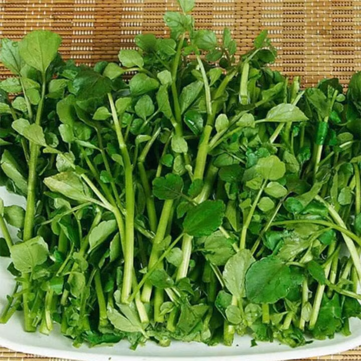 Theo CDC Mỹ, cải xoong là loại rau nhiều dưỡng chất nhất, điểm mật độ dinh dưỡng đạt mức 100/100. (Ảnh: Grocery)
