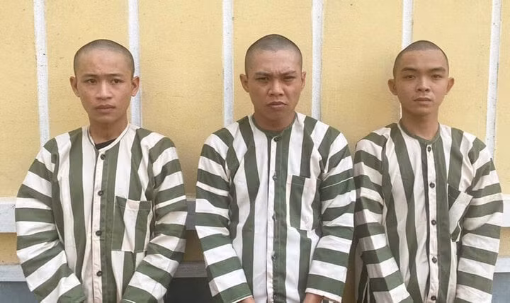 Nguyễn Vĩ Khang, Nguyễn Văn Nên và Lê Võ Trúc Kha tại cơ quan điều tra. (Ảnh: Công an Bến Cát)
