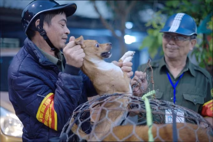 Lượng lượng bảo vệ dân phố tham gia chiến dịch bắt chó thả rông tại Hà Nội năm 2018. Ảnh: Hoàng Phong