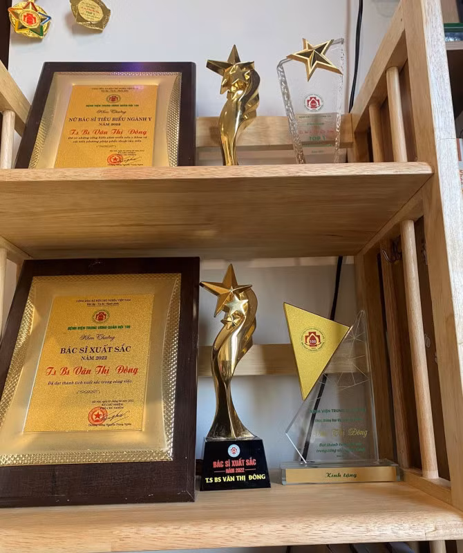 Bằng khen, cúp, huy hiệu giả.