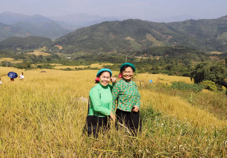 Du khách thích thú chụp ảnh tại ruộng bậc thang lúa chín vàng trong trang phục dân tộc Sán Chỉ.