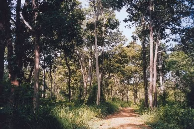 Dieu tra vu viec mot can bo kiem lam bi ban khi dang lam nhiem vu hinh anh 1