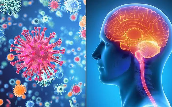 Viêm não Nhật Bản là bệnh nhiễm trùng cấp tính hệ thần kinh trung ương do virus viêm não Nhật Bản gây ra.