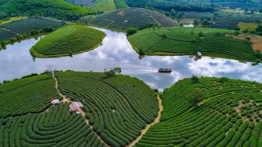 Bí quyết săn vé máy bay giá rẻ Hà Nội - Vinh nhanh chóng và thuận tiện trên Traveloka&nbsp; ảnh 9