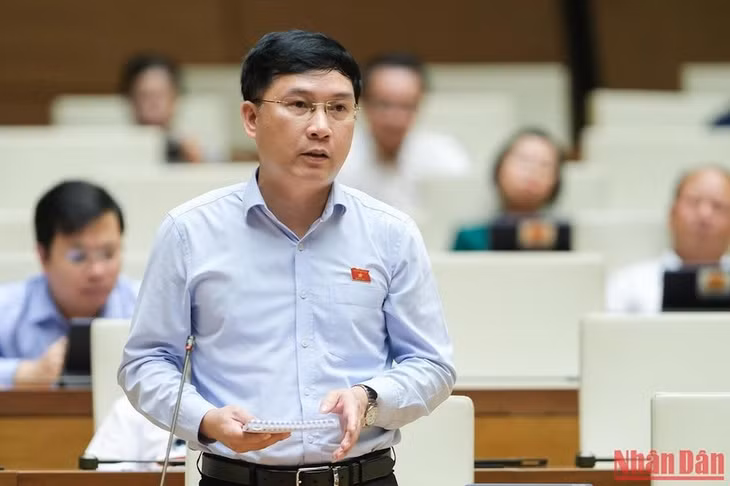 Đại biểu Lê Hoàng Anh góp ý vào dự thảo Luật. (Ảnh: DUY LINH)