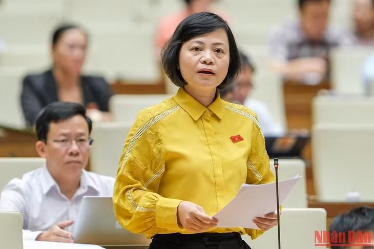 Đại biểu Quốc hội Nguyễn Thanh Cầm phát biểu ý kiến thảo luận. (Ảnh: DUY LINH)