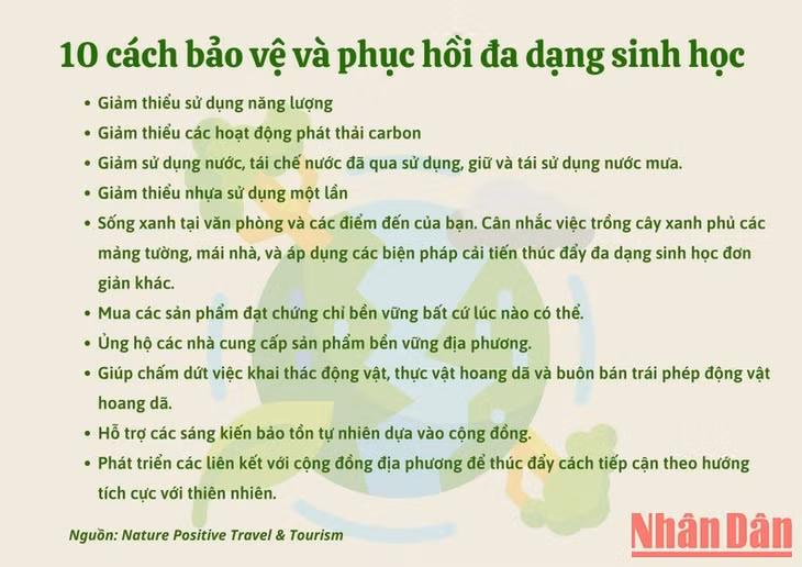 Du lịch và lữ hành góp phần bảo tồn tự nhiên ảnh 2