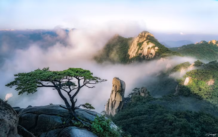 Hình ảnh ngọn núi Dobongsan nằm trong Vườn Quốc gia Bukhansan, bên cạnh thành phố Seoul. Đây là bức hình Sơn mất rất nhiều thời gian và công sức để chụp thành công. Anh đã đến đây 3 lần trong một tháng nhưng không thể săn được khoảnh khắc mây vờn đỉnh núi. Tới cuối tháng 6, khi thấy dự báo thời tiết có tình hình khả quan, anh quyết định leo núi thêm một lần nữa. Lần này, không phụ công chàng trai, khung cảnh hiện ra vô cùng ấn tượng