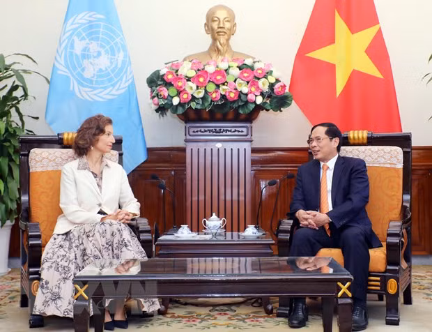 UNESCO danh gia cao nhung dong gop thuc chat, hieu qua cua Viet Nam hinh anh 1