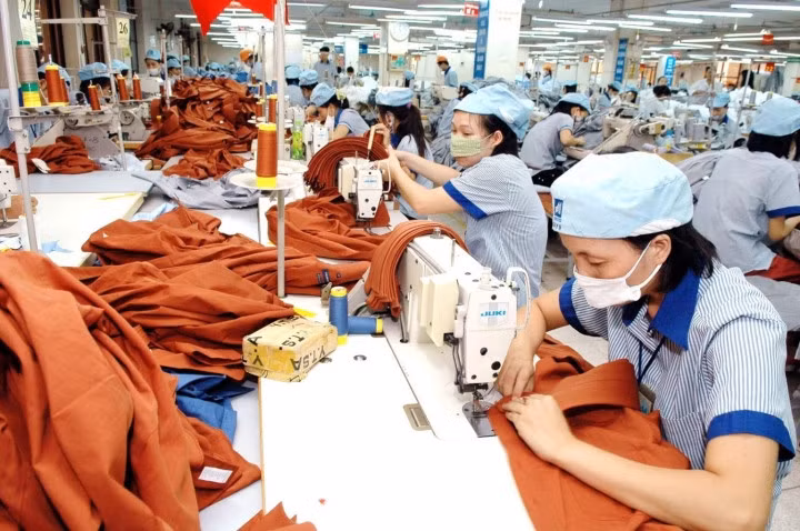 Doanh nghiệp dệt may gặp khó khi giá bông tăng khoảng 19,1%...