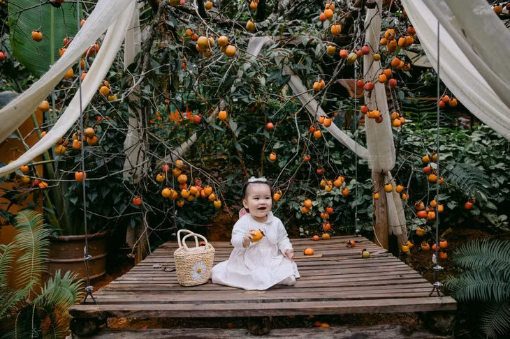 Những quán cà phê có cây hồng sai trĩu quả cũng là địa điểm chụp hình được nhiều du khách tìm đến khi ghé thăm Đà Lạt mùa hồng chín (Ảnh: Quang Đà Lạt).