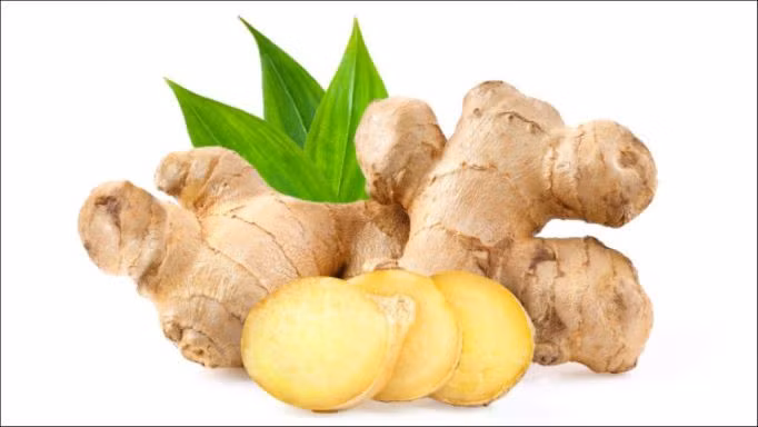 Gừng có lợi cho hệ tiêu hóa.