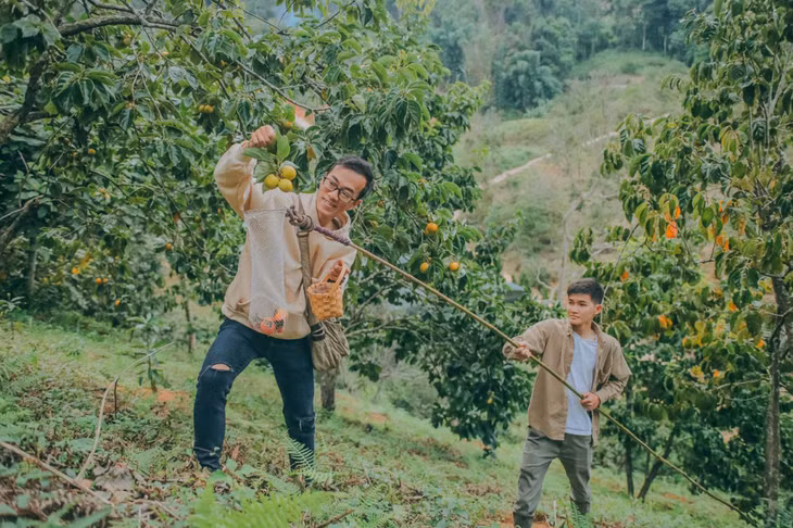 Mùa hồng Đà Lạt ảnh 5