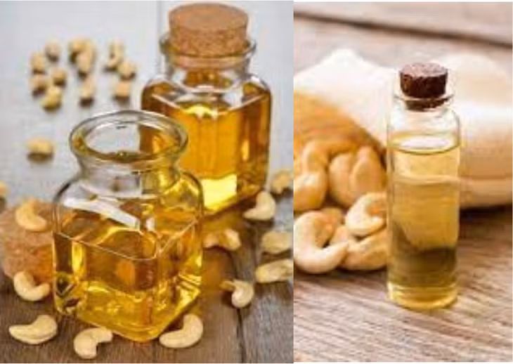 Dầu hạt điều có nhiều lợi ích trong việc làm đẹp da và tóc. Đồ họa: Doãn Hằng