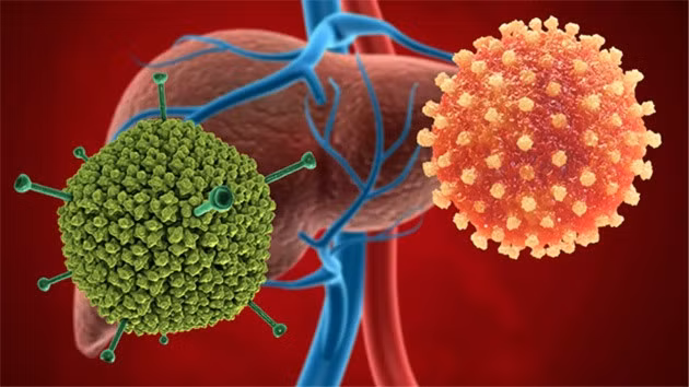 Cách thức lây nhiễm chủ yếu của loại virus Adeno là giọt bắn, đường hô hấp khi tiếp xúc, nói chuyện trực tiếp với người bệnh.