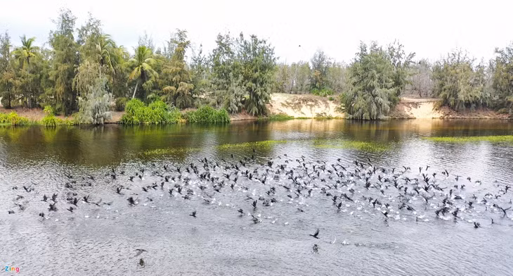 Van hoa Sa Huynh anh 5