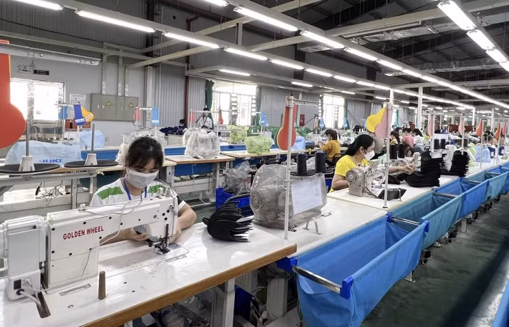 Người lao động làm việc đều được đào tạo tay nghề ngay từ khi mới vào làm việc tại Công ty TNHH Dệt may Weitai Hạ Long. Ảnh: Thanh Hằng