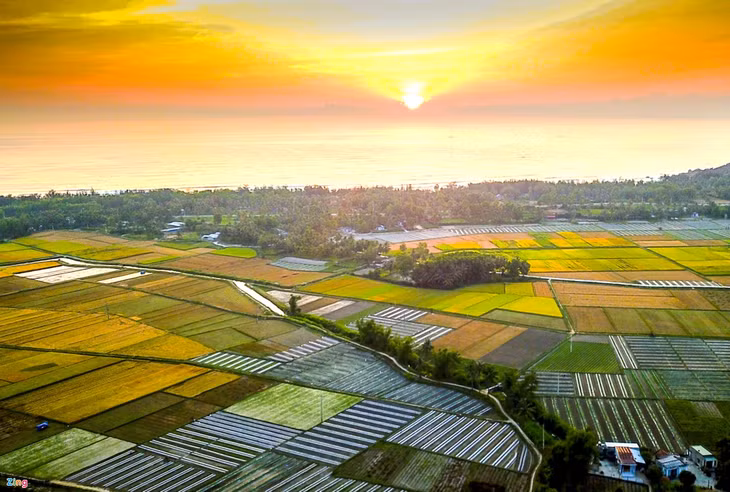 Van hoa Sa Huynh anh 2