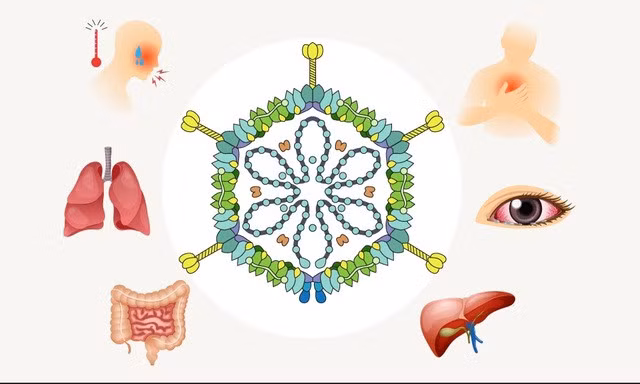 Nhóm adenovirus thường gây bệnh bằng cách tiếp xúc với các chất tiết từ người bị nhiễm bệnh hoặc do tiếp xúc với một đồ vật bị nhiễm bẩn.