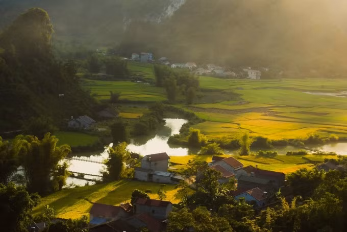 Ở một khúc sông có cây cầu treo bắc qua, làng quê trông yên ả, mộc mạc. Và đoạn đường nối thị trấn Trùng Khánh với xã Phong Nậm dài khoảng 10 km là nơi có khung cảnh 'mùa vàng' đẹp, được cánh nhiếp ảnh yêu thích.