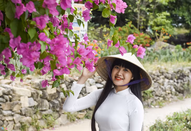 Van hoa Sa Huynh anh 8