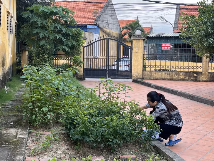 Trước các khu nhà ở tập thể là khuôn viên sân vườn rộng rãi.