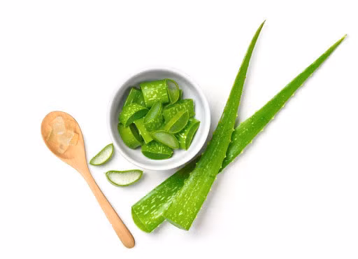 Gel lô hội có đặc tính làm mát giúp giảm kích ứng, ngứa do mề đay.