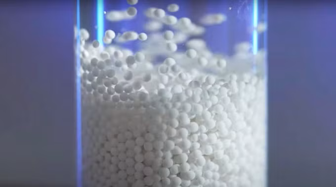 Các hạt alginate rộng 1,5 mm được đưa vào cơ thể để điều trị ung thư. Ảnh: Rice University