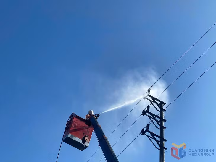 Công nhân Đội quản lý điện khu vực Đông Triều ứng dụng công nghệ rửa sứ hotline đường dây trung thế.
