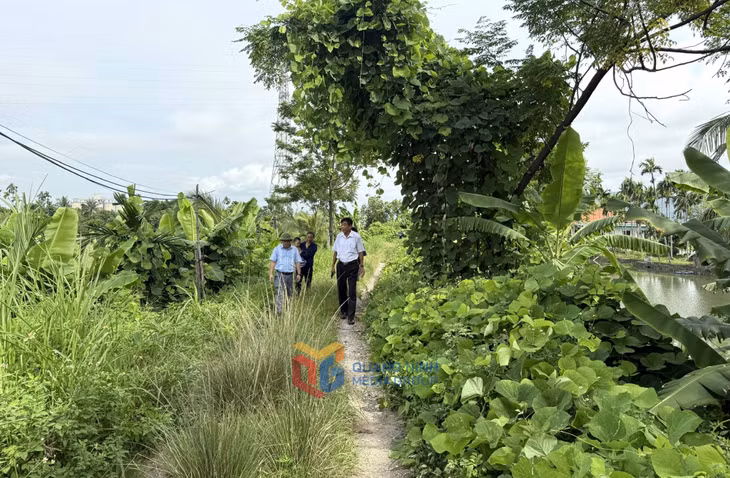 Tuyến đê khu Xuân Quang (phường Mạo Khê) được đắp bằng đất, mặt đê chỉ rộng hơn 3m nên khá chật hẹp.