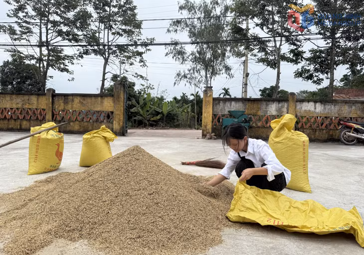 Chương Thị Nhi, Trường THCS Hải Lạng (xã Hải Lạng), hoàn cảnh gia đình bố mẹ ly hôn, ở với bố, nhưng vẫn chịu khó vươn lên trong học tập, thường xuyên phụ giúp bố làm việc nhà.