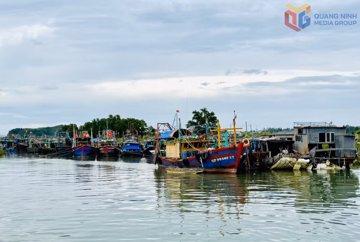 Tàu thuyền về neo đậu tại khu Miếu Gạnh Út, thuộc khu Bình Ngọc.