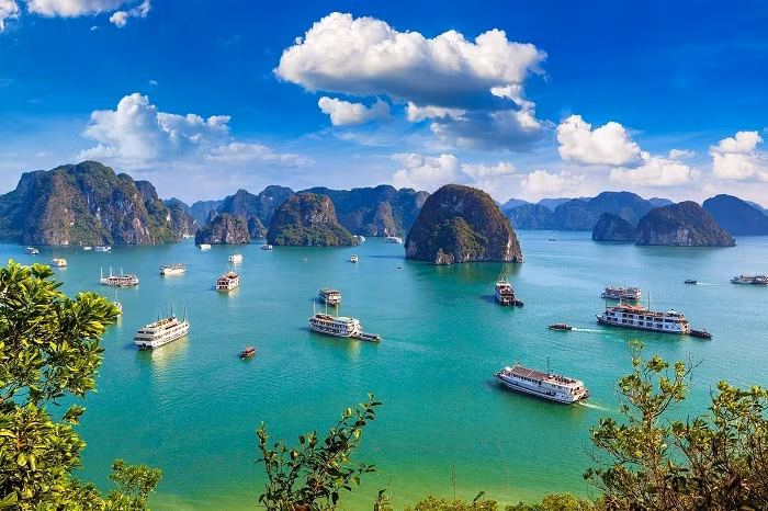 Vẻ đẹp của kỳ quan thiên nhiên thế giới vịnh Hạ Long.