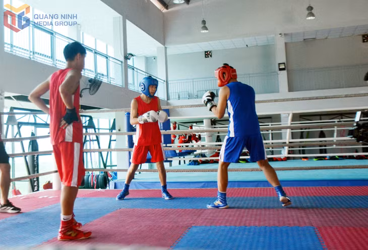 Từ khó khăn ban đầu, boxing Quảng Ninh đã nỗ lực đào tạo được lực lượng trẻ đầy triển vọng và có sự quan tâm đầu tư về cơ sở vật chất.