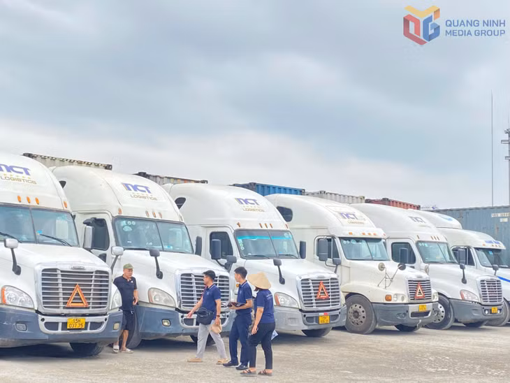 Công ty cổ phần Thương mại Logistics N.C.T phát triển hệ sinh thái dịch vụ logistics trọn gói.